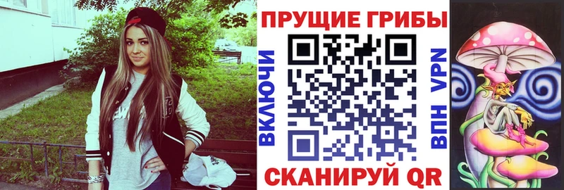 Псилоцибиновые грибы GOLDEN TEACHER  KRAKEN маркетплейс  Курлово 